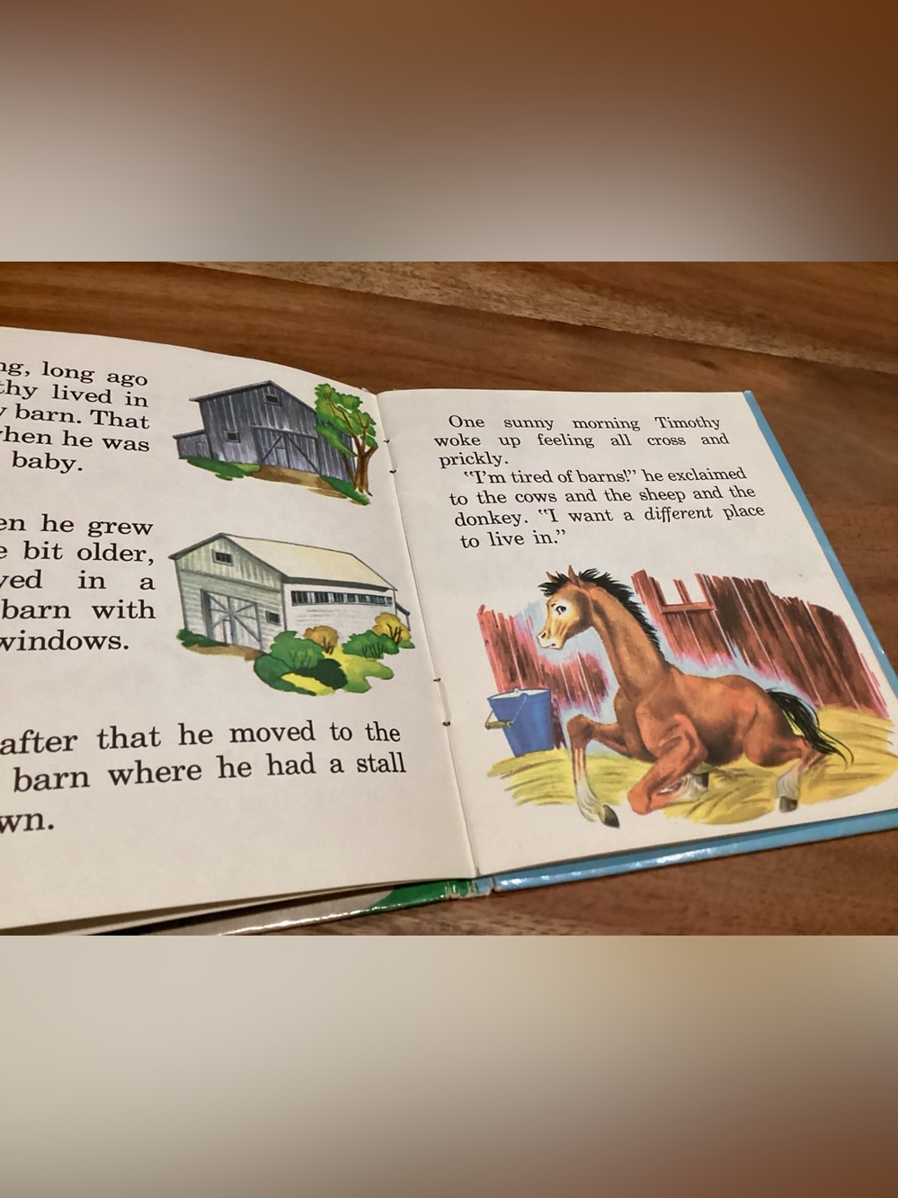 Vtg. 1958 Children’s book titled Where Timothy Lives written by Betty Ren Wright - Picture 3 of 5